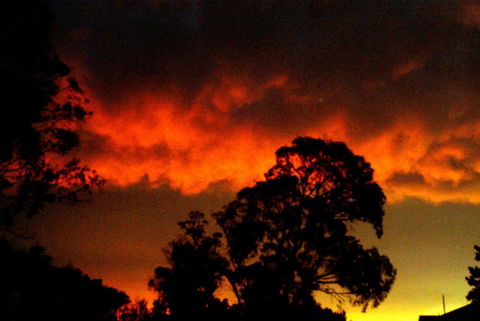 Taits Place Vineyard B & B - Accommodation Australia 2
