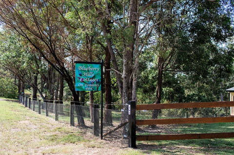 Blueberry Hills On Comleroy - Accommodation Australia 0