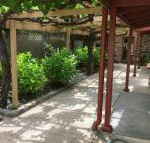 bluebird cottage - Local Tourism