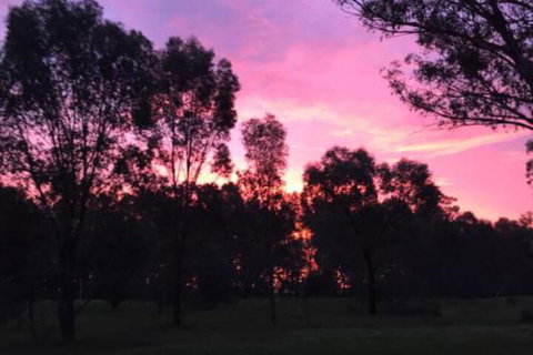 Rand Hotel - Bed n Breakfasts 3