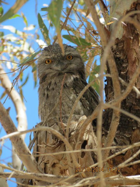 Kalbarri Tudor Holiday Park - Accommodation Australia 3
