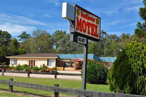 Sunflower Motel - Accommodation Australia 5