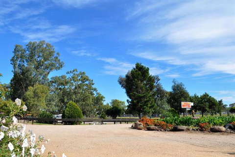 Sunflower Motel - Accommodation Australia 2