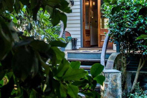 A Winter Rose - Local Tourism 2