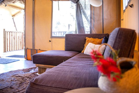 Scamander Sanctuary Holiday Park - Accommodation Australia 2