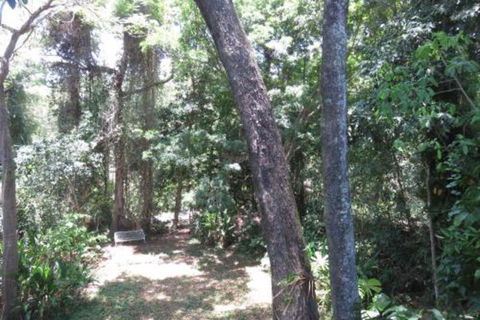 Palm Cove Rainforest Cottage - Local Tourism 1