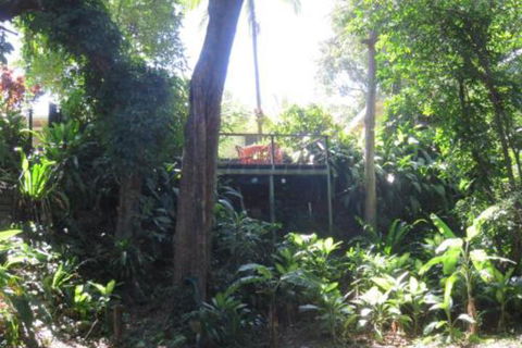 Palm Cove Rainforest Cottage - Local Tourism 3