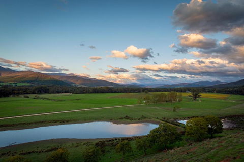 The Red Stag - Local Tourism 2