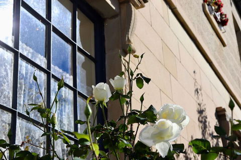 Blue Bell Inn - Accommodation Australia 2