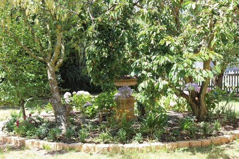 Bellamona - Bed n Breakfasts 5