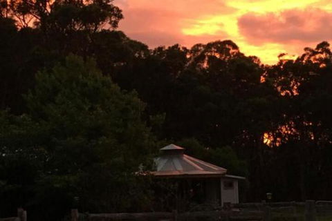 Ionaforest Yurt & Shepherds Hut - Accommodation Australia 4