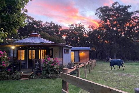 Ionaforest Yurt & Shepherds Hut - Accommodation Australia 3