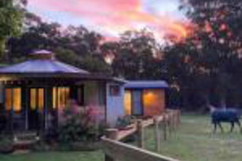 Ionaforest Yurt & Shepherds Hut - Accommodation Australia 0