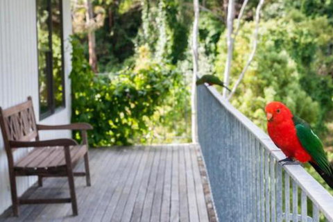 At Riverside - Australia Shopping 5