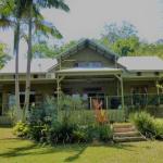 Magnolia Cottage - Accommodation Australia 0