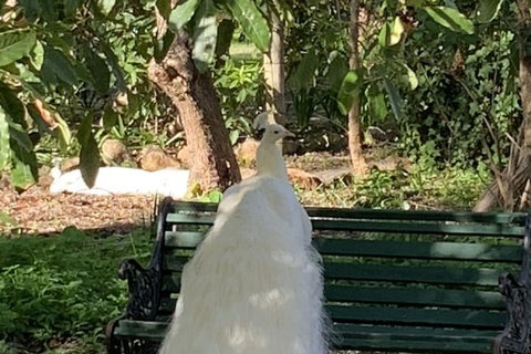 Bungala House 1856 - Local Tourism 4