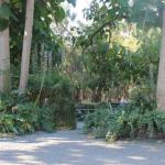 Avoca Park - Accommodation Australia 0