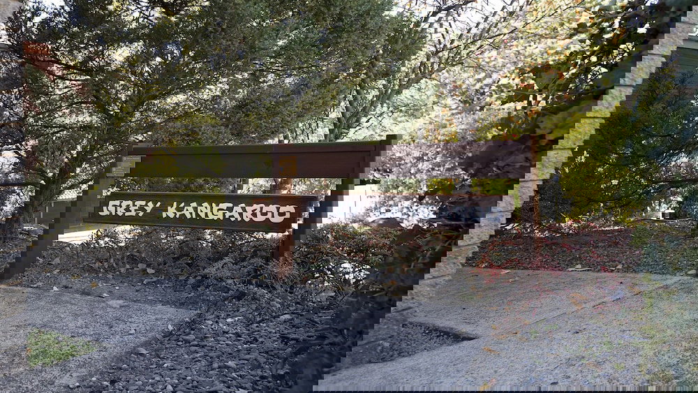 Jindabyne NSW Local Tourism