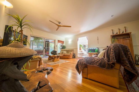 The Tree House. Treetop Living Near The Ocean Coolum Beach QLD Australia - Accommodation Australia 4