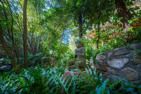 The Tree House. Treetop Living Near The Ocean Coolum Beach QLD Australia - Accommodation Australia 2