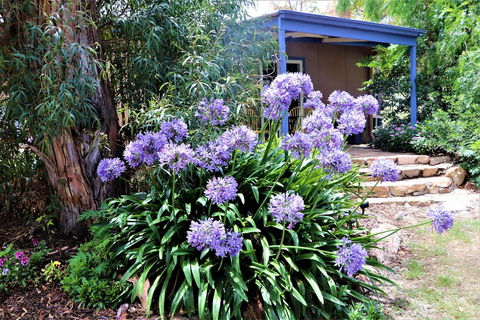 A Stanthorpe Getaway - Accommodation Australia 4