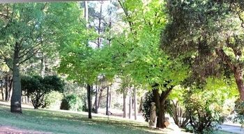 Eemnes Park Estate - Local Tourism 6