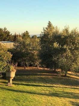 Eemnes Park Estate - Local Tourism 4