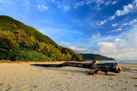 Daintree Rainforest Beach House - Accommodation Australia 7