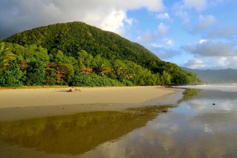 Daintree Rainforest Beach House - Accommodation Australia 5