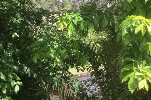 Central Wangaratta Motel - Australia Shopping 3