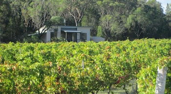 Just Red Wines Vineyard Cabins - Local Tourism 3