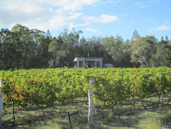 Just Red Wines Vineyard Cabins - Local Tourism 5