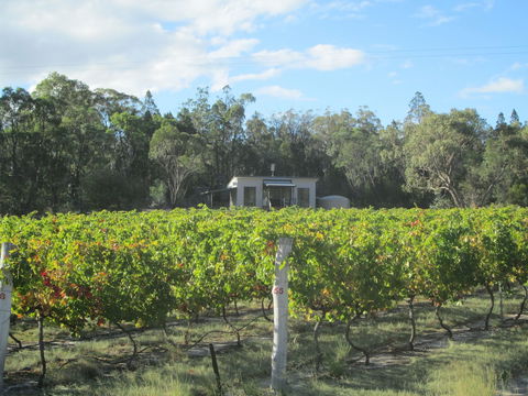 Just Red Wines Vineyard Cabins - Local Tourism 6