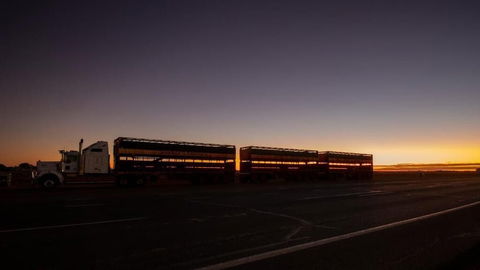 Longreach Outback Adventures - Accommodation Australia 2