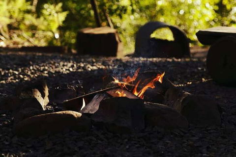 Carawirry Forest Escape - Local Tourism 5