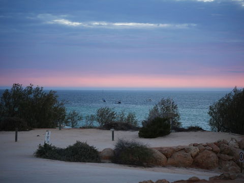 Denham Seaside Caravan Park - Bed n Breakfasts 1