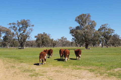 Jindera Park - Bed n Breakfasts 0
