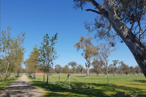 Jindera Park - Bed n Breakfasts 1