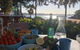 Manly Beachside 2 Bedroom House - thumb 4