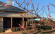 Yarrabandai Creek Homestead - thumb 1