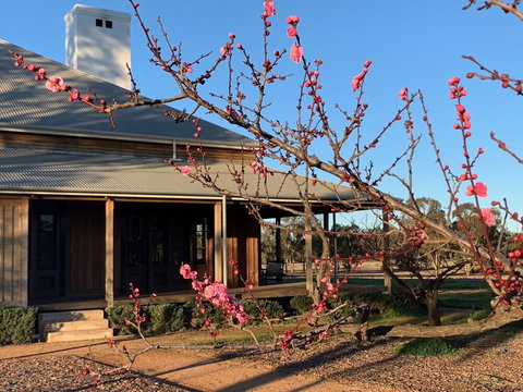 Yarrabandai Creek Homestead - Accommodation Australia 1