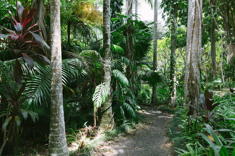 Sanctuary In The Pocket - Accommodation Australia 3