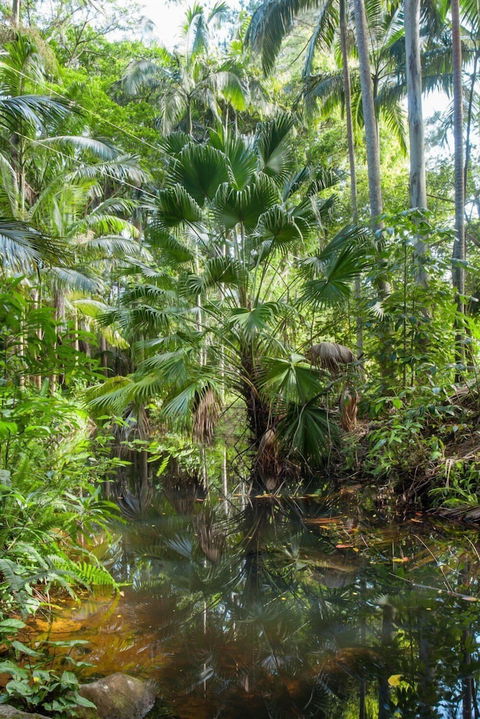 Sanctuary In The Pocket - Accommodation Australia 1