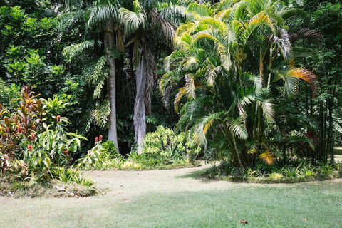 Sanctuary In The Pocket - Accommodation Australia 0