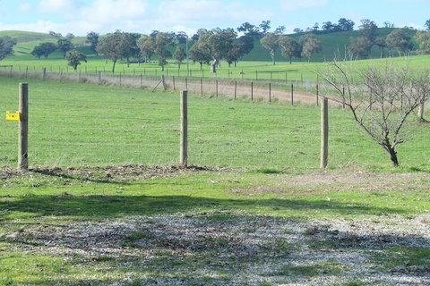 Yea Cabin Bunkhouse - Local Tourism 2