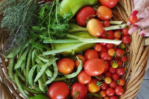 Ahvenbloem Park Winganna - Local Tourism 3