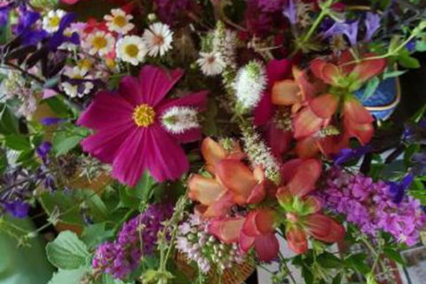 Ahvenbloem Park Winganna - Local Tourism 0