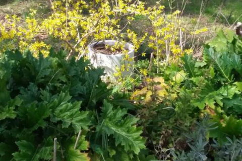 Ahvenbloem Park Winganna - Local Tourism 1