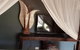 Dubbo Rhino Lodge - thumb 6