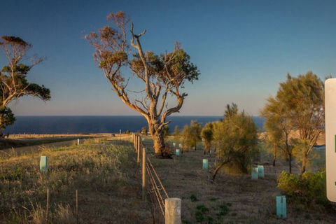 Fleurieu Coastal Retreat Lot 150 Myponga Beach Road - Accommodation Australia 2